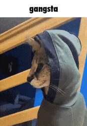 Gangsta Hoodie Cool Swag Cat Meme