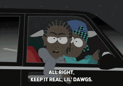 Gangsta Niggers Car South Park GIF