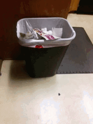 Garbage Can Indoor GIF