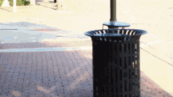 Garbage Looking Garbage Can GIF