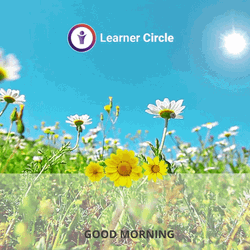 Garden Beautiful Flowers GIF