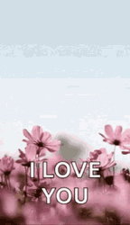 Garden Beautiful Flowers Happy Mothers Day Niece GIF