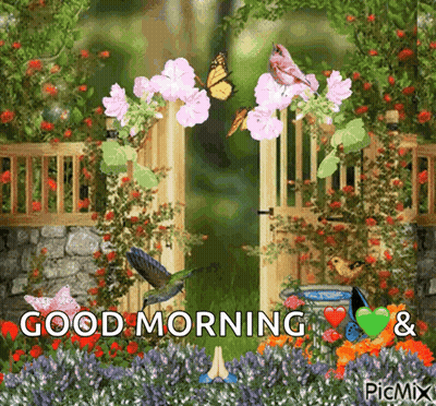 Garden With Flowers And Butterflies Saying Good Morning GIF