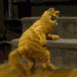 Garfield Animated Cat Twerk Dance GIF