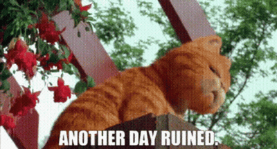 Garfield Another Day Ruined GIF