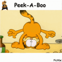 Garfield Cat Upside Down Peek A Boo GIF
