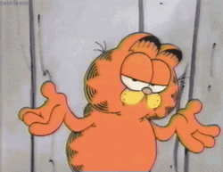 Garfield Dont Care GIF
