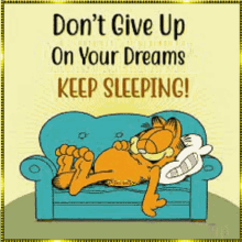 Garfield Dreaming Sleeping