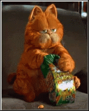 Garfield Eating Crackers  GIF