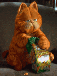 Garfield Eating Snacks GIF
