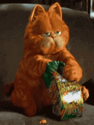 Garfield Eating Snacks GIF