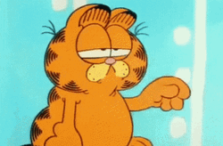 Garfield Face Palm GIF