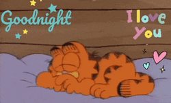 Garfield Goodnight I Love You GIF
