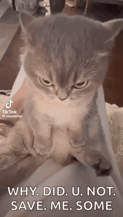 Garfield Holding Knife And Fork Eating Doge Coin Saying Glumbocoin Is Delicious GIF