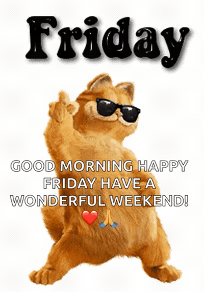Garfield In Sunglasses Giving Middle Finger Happy Friday GIF