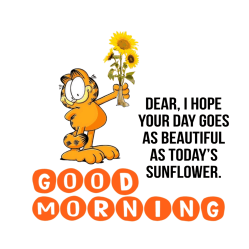 Garfield Is Holding A Bunch Of Sunflowers And Says Dear I Hope Your Day Goes As Beautiful As Today GIF