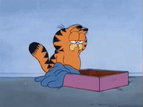Garfield Is Laying In A Pink Box With A Blue Blanket On The Floor . GIF