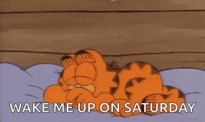Garfield Is Laying On A Bed With A Pillow And The Words `` Wake Me Up On Saturday '' Written On It . GIF