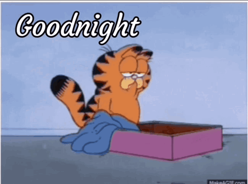 Garfield Is Sitting In A Box With The Words Goodnight Written On It GIF