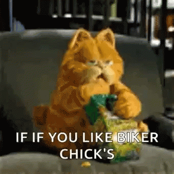 Garfield Is Sitting On A Couch Eating A Bag Of Chips And Says If You Like Biker Chick 'S GIF