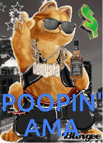Garfield Is Wearing Sunglasses And Holding A Bottle Of Jack Daniels Whiskey GIF