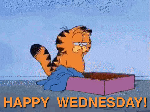 Garfield Laying In A Box With The Words Happy Wednesday GIF