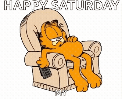 Garfield Laying In Chair With Remote Control GIF