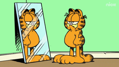 Garfield Looking At His Reflection In A Mirror With The Nick Logo In The Background GIF