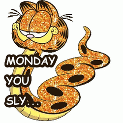 Garfield Monday You Sly GIF