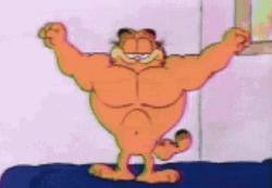 Garfield Muscle Builder GIF