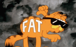Garfield Proud Fat GIF