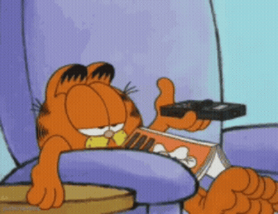Garfield Reading Book And Holding Remote GIF