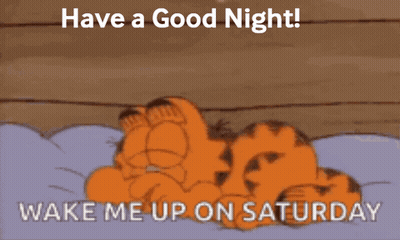 Garfield Saying Have A Good Night And Wake Me Up On Saturday GIF