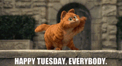 Garfield Says It's Only Tuesday Everybody GIF