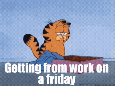 Garfield Sitting In Box Getting From Work On A Friday GIF