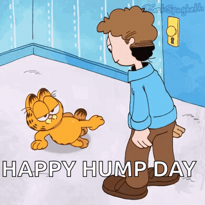 Garfield Standing Next To Man Happy Hump Day GIF