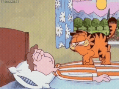 Garfield Standing On Bed Next To Sleeping Person GIF