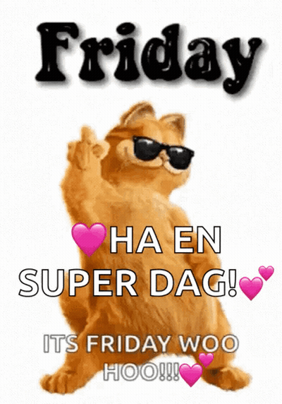 Garfield Sunglasses Friday Ha En Super Dag GIF