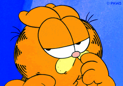 Garfield Suspicious Hmmmm GIF
