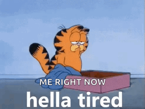 Garfield The Cat Is Sitting In A Box And Saying `` Me Right Now Hella Tired '' . GIF