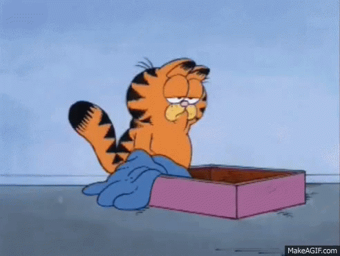 Garfield The Cat Is Sitting In A Pink Box With A Blue Blanket . GIF