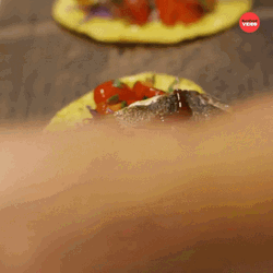 Garnishing Dirty Taco Tuesday GIF