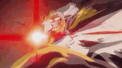 Garp Chujou Vice Admiral Monkey GIF