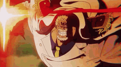 Garp One Piece Anime Character GIF