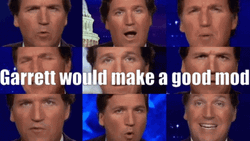 Garrett Would Make A Good Mod Tucker Carlson GIF