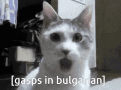 Gasps In Bulgarian Meme