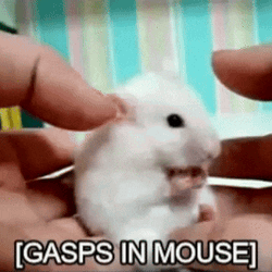 Gasps In Mouse Meme GIF