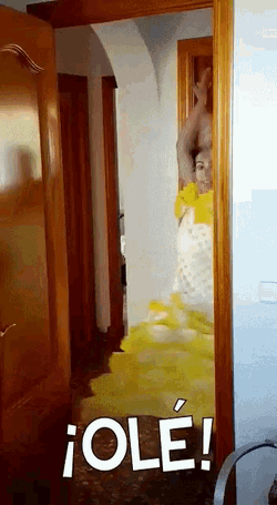 Gataflautica Marywar GIF