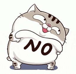Gato No Sonfys Gato No GIF