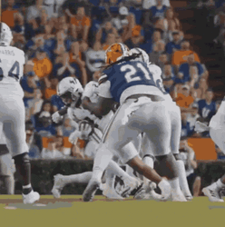 Gators Chaotic Players GIF